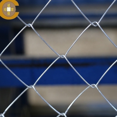 Customizable Hot Dipped Plastic Coated Chain Link Fence Wear Resisting