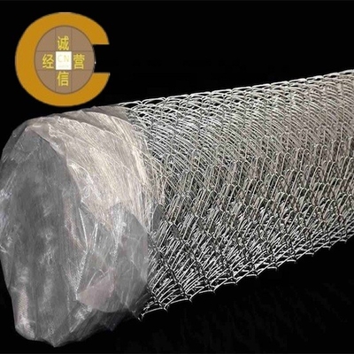 Customizable Hot Dipped Plastic Coated Chain Link Fence Wear Resisting