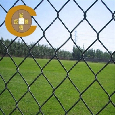 Customizable Hot Dipped Plastic Coated Chain Link Fence Wear Resisting