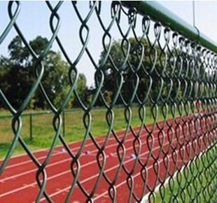 Galvanized Iron Wire Chain Link Mesh with PVC Coating for Garden Fence