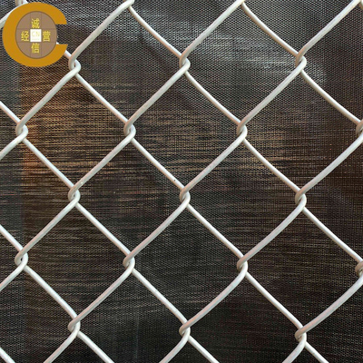 Rockfall Protection Netting for Slope Protection (24 Galv Iron Wire)