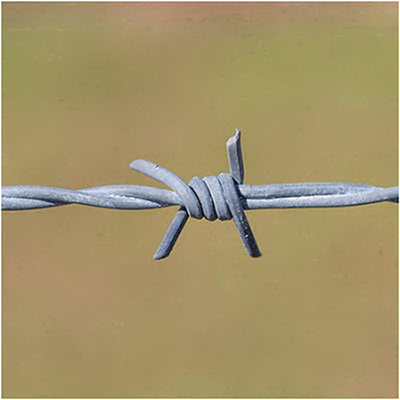 Single Razor Barbed Wire Roll