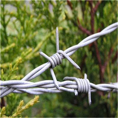 Single Razor Barbed Wire Roll