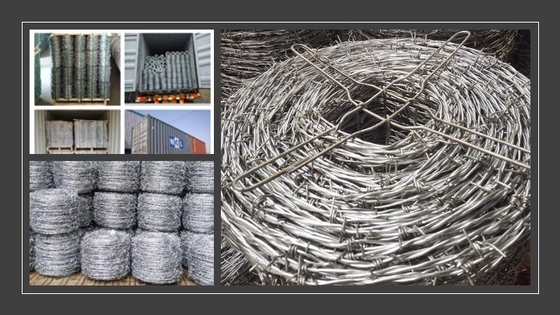 Galvanized Low Carbon Razor Wire 2.0-4.0mm