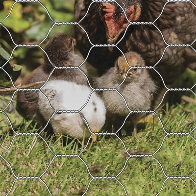 Galvanized Hexagonal Chain Link Chicken Wire Industrial Grade for Cages