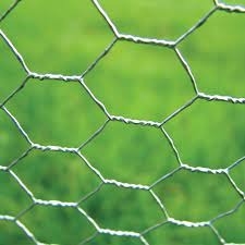 Galvanized Hexagonal Poultry Wire Netting for Chicken Coop