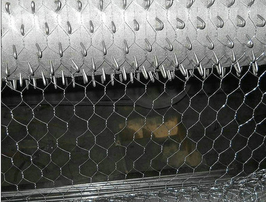 Galvanized Hexagonal Poultry Wire Netting for Chicken Coop