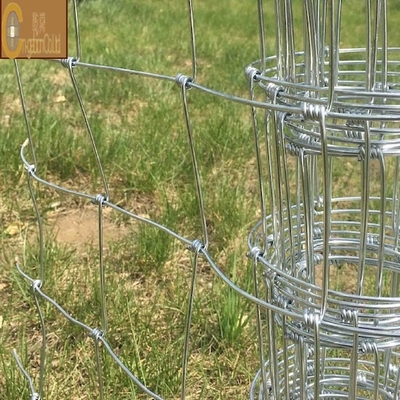 Galvanized Hexagon Steel Wire Mesh for Poultry Chicken Cage