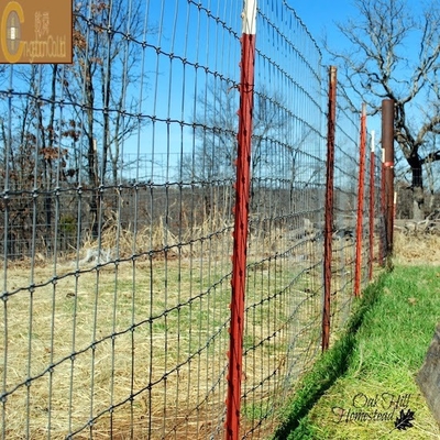 Galvanized Hexagon Steel Wire Mesh for Poultry Chicken Cage