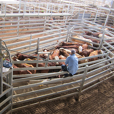Galvanized Metal Standard Cattle Fence Panels For Livestock Yards
