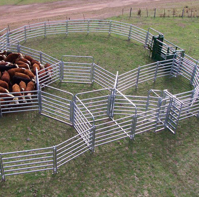 Galvanized Metal Standard Cattle Fence Panels For Livestock Yards