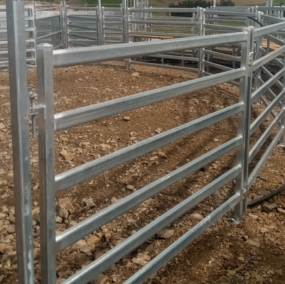 Galvanized Metal Standard Cattle Fence Panels For Livestock Yards