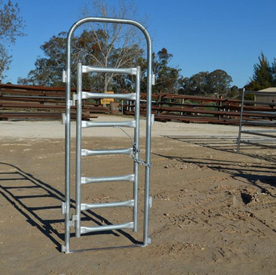 Rust Proof Galvanized GI Wire Mesh Fencing For Poultry And Farm Breeding