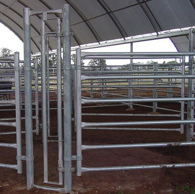Rust Proof Galvanized GI Wire Mesh Fencing For Poultry And Farm Breeding