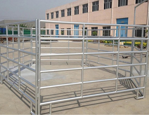 Welded Galvanized Wire Mesh Fence Livestock Cattle Sheep Pig Fence In Rolls 300x48