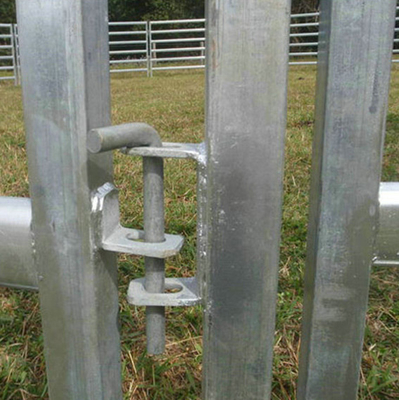 Welded Galvanized Wire Mesh Fence Livestock Cattle Sheep Pig Fence In Rolls 300x48