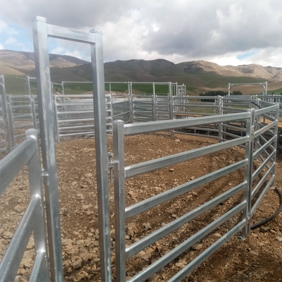 Galvanized Steel Mesh for Animal Field Fence