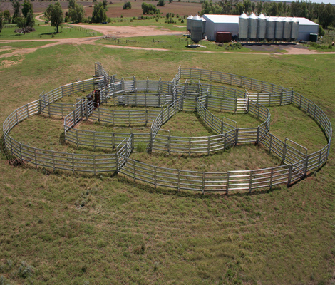Galvanized Steel Mesh for Animal Field Fence